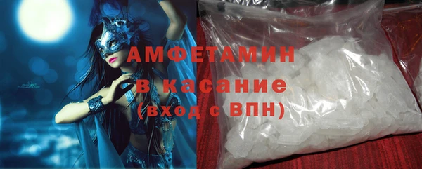 сатива Новодвинск