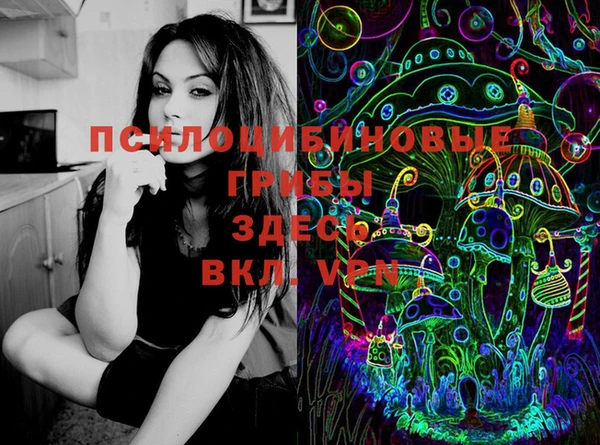 дурь Няндома