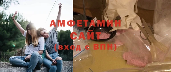 дурь Няндома
