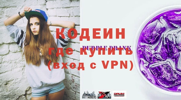 дурь Няндома