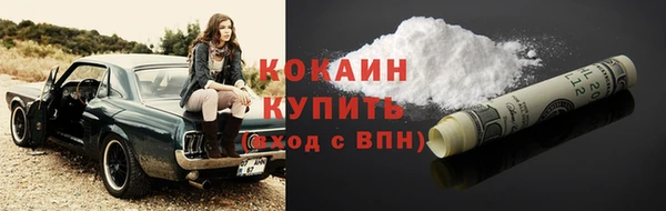 дурь Няндома