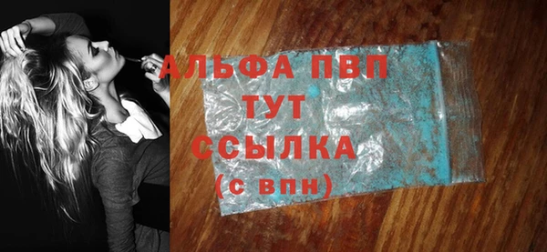 сатива Новодвинск