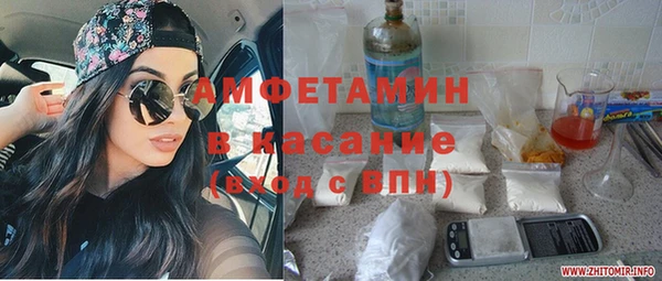 прущие грибы Новозыбков