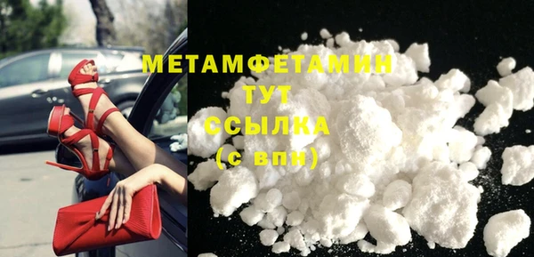 сатива Новодвинск