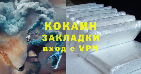 дурь Няндома