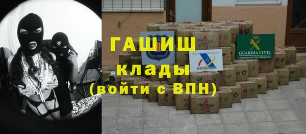 сатива Новодвинск